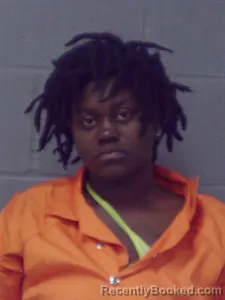 Mugshot of Erica Young