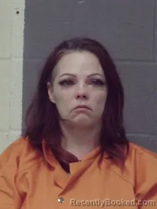 Mugshot of Cherie Lynn Johnson
