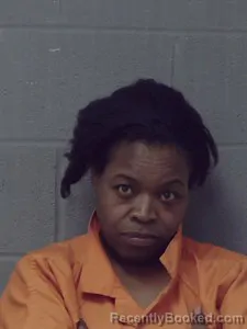 Mugshot of Teresa T Reel