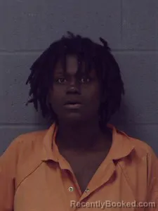 Mugshot of Erica Young booked in Crittenden County, Arkansas on March 22, 2026