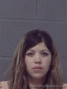 Mugshot of Sara Lynn Castro booked in Crittenden County, Arkansas on March 24, 2026