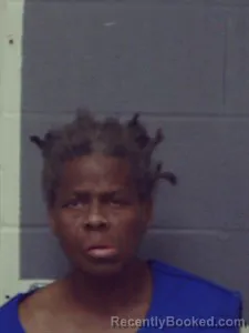 Mugshot of Lauretta Marie Tolbert booked in Crittenden County, Arkansas on March 27, 2026