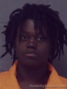 Mugshot of Erica Young booked in Crittenden County, Arkansas on March 27, 2026