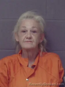 Mugshot of Wanda Lewis booked in Crittenden County, Arkansas on March 28, 2026