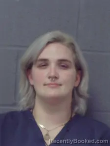 Mugshot of Amanda M Ellison booked in Crittenden County, Arkansas on April 25, 2026