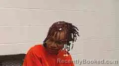 Mugshot of CANDICE TIBBS