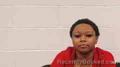 Mugshot of ELIZABETH JOHNSON booked in Cross County, Arkansas on May 1, 2026