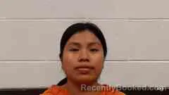 Mugshot of Maria Perez booked in Cross County, Arkansas on October 22, 2026