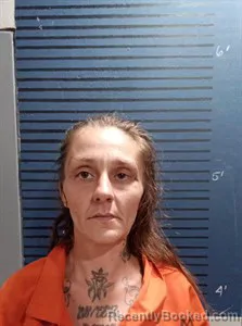 Mugshot of Artina Melisa Beall booked in Dallas County, Arkansas on April 18, 2026