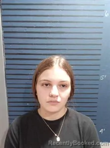 Mugshot of Allison Nicole Ivy booked in Dallas County, Arkansas on May 23, 2026