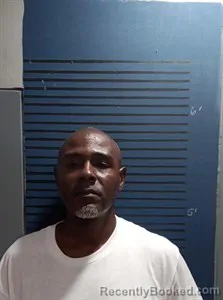 Mugshot of Antoney Lacar Nelson booked in Dallas County, Arkansas on June 28, 2026