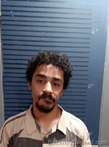 Mugshot of Braxton Maxwell Richardson booked in Dallas County, Arkansas on May 23, 2026