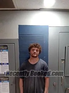 Booking photo from Dallas County, Arkansas