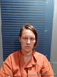 Mugshot of Chasity Ann Farber booked in Dallas County, Arkansas on March 30, 2026