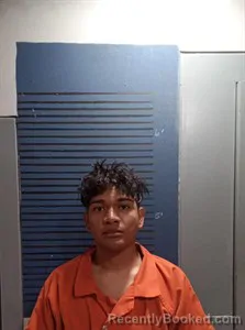 Mugshot of Cristian Jonas booked in Dallas County, Arkansas on August 26, 2026