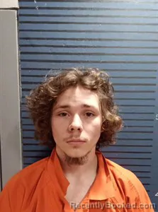 Mugshot of Corwyn Mcpherson booked in Dallas County, Arkansas on April 3, 2026