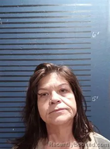 Mugshot of Carolyn Michelle Youngquist