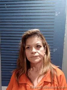Mugshot of Carolyn Michelle Youngquist booked in Dallas County, Arkansas on May 20, 2026