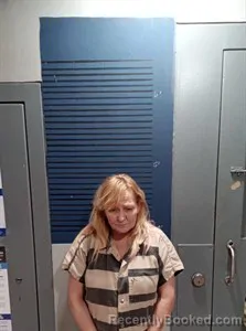 Mugshot of Dana Michelle King