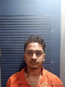 Mugshot of Fardin Talha booked in Dallas County, Arkansas on May 12, 2026