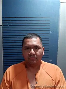 Mugshot of Gabriel Tinoco booked in Dallas County, Arkansas on July 1, 2026