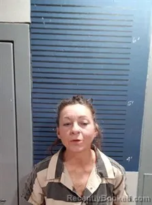 Mugshot of Jennfer Sullivan