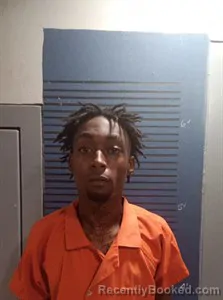 Booking photo from Dallas County, Arkansas