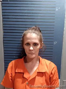 Mugshot of Kimbery Dawn Ozment