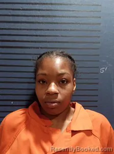 Mugshot of Linda Croom booked in Dallas County, Arkansas on April 3, 2026