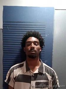 Mugshot of Laquincy Royquez Shelton booked in Dallas County, Arkansas on March 31, 2026