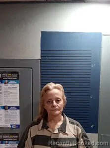 Mugshot of Mary Allison Sims booked in Dallas County, Arkansas on April 20, 2026