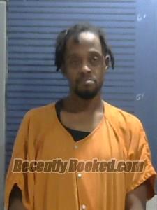 Booking photo from Dallas County, Arkansas