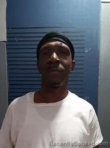 Mugshot of Shawn Allen Berry