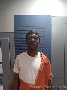 Mugshot of Shawn Allen Berry