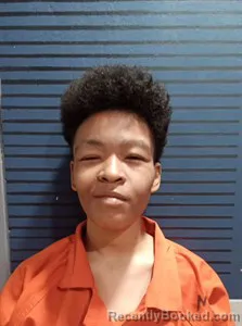 Mugshot of Samantha Castillo