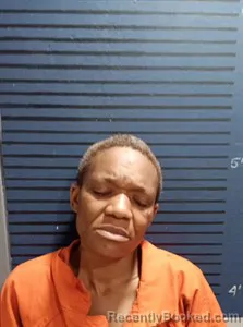 Mugshot of Shanetta Childs booked in Dallas County, Arkansas on April 18, 2026