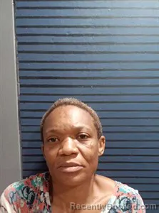 Mugshot of Shanetta Childs booked in Dallas County, Arkansas on April 28, 2026