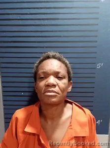 Mugshot of Shanetta Childs booked in Dallas County, Arkansas on August 4, 2026