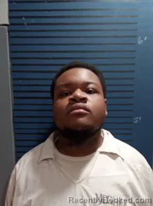 Booking photo from Dallas County, Arkansas