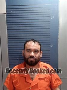 Booking photo from Dallas County, Arkansas