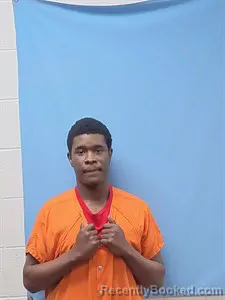 Mugshot of Nathan Irish