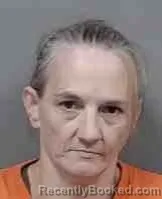 Mugshot of Tara Denise Reed booked in Citrus County, Florida on July 31, 2026