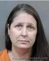 Mugshot of Nichole Kristen Hilthon booked in Citrus County, Florida on August 7, 2026