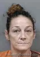 Mugshot of Deana Michelle Esslinger booked in Citrus County, Florida on October 4, 2026