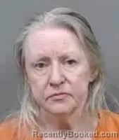 Mugshot of Helen S Reid booked in Citrus County, Florida on October 11, 2026