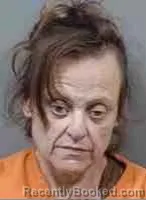 Mugshot of Michelle Agnes Genell Eiland booked in Citrus County, Florida on October 21, 2026