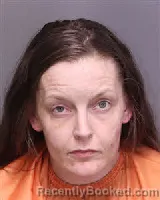 Mugshot of MANDY LYNN HERRING booked in Florence County, South Carolina on April 6, 2026