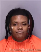 Mugshot of Ariyana Alecia Drayton booked in Florence County, South Carolina on August 20, 2026