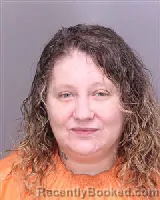 Mugshot of CRYSTAL ANN HORTON