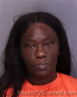 Mugshot of JESSICA NICOLE FULMORE booked in Florence County, South Carolina on July 14, 2026